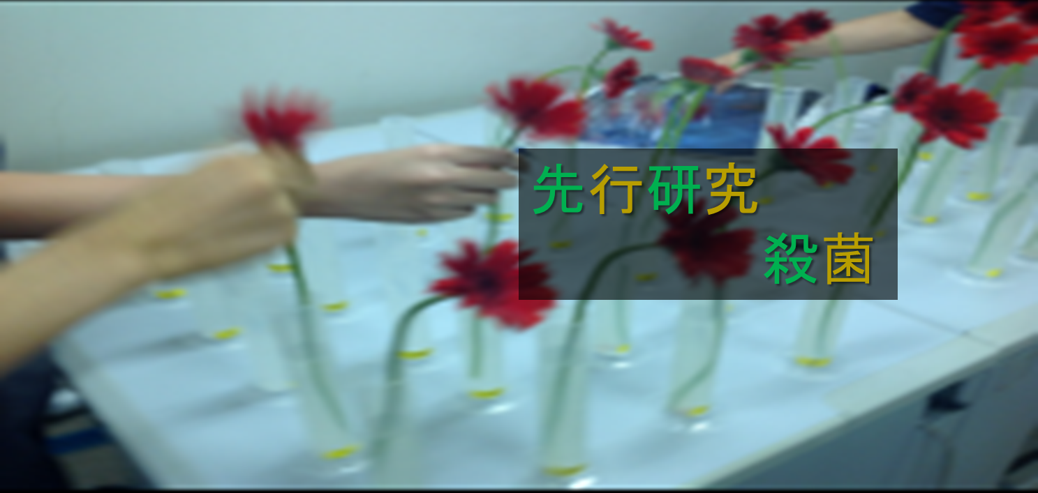 トップ画像