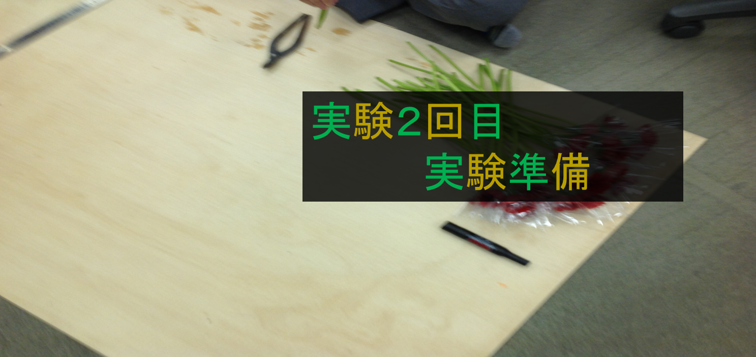 トップ画像