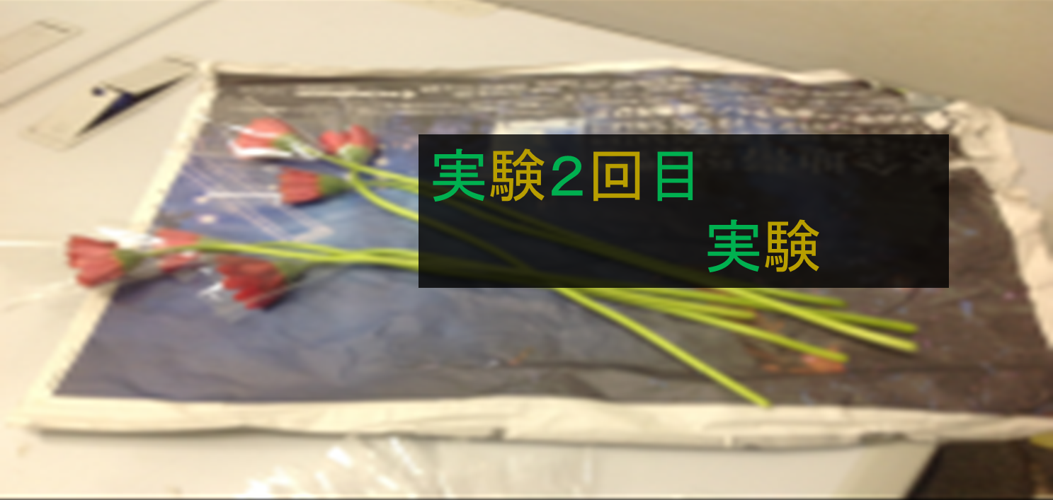 トップ画像