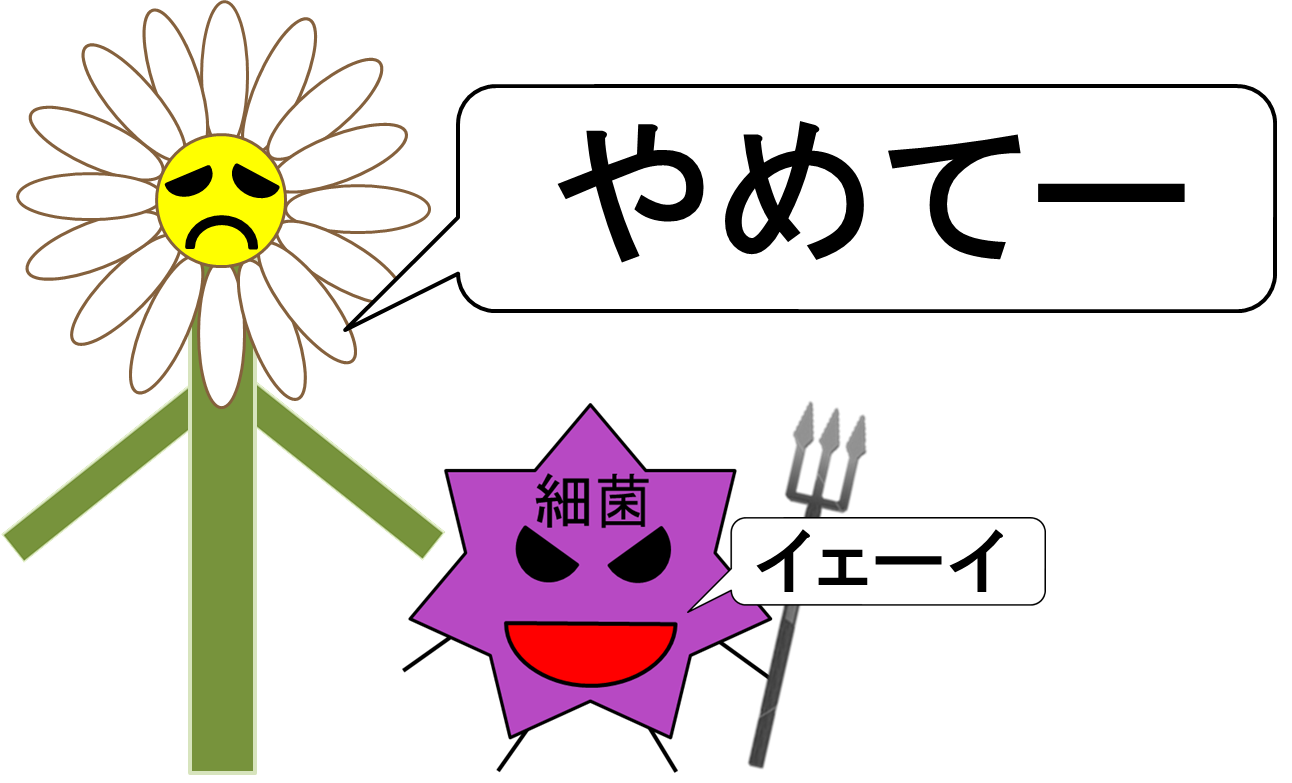 やってはいけないこと