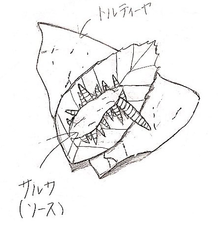 タコスの画像