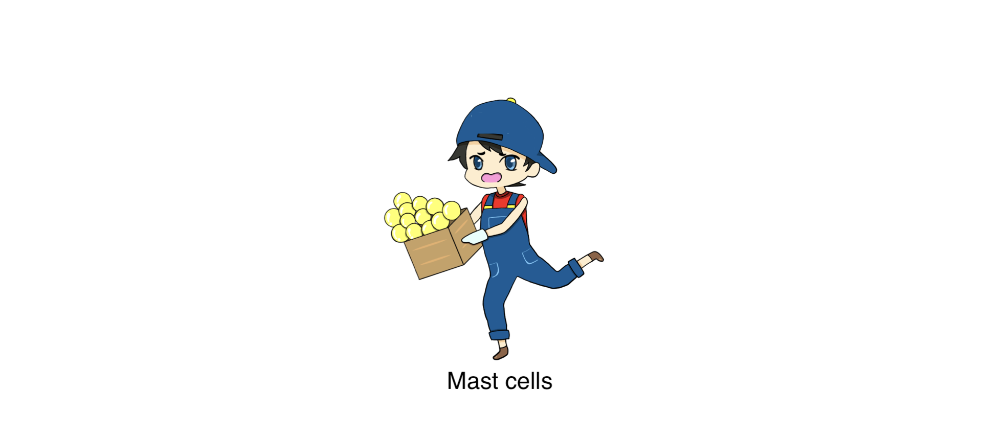 働き
