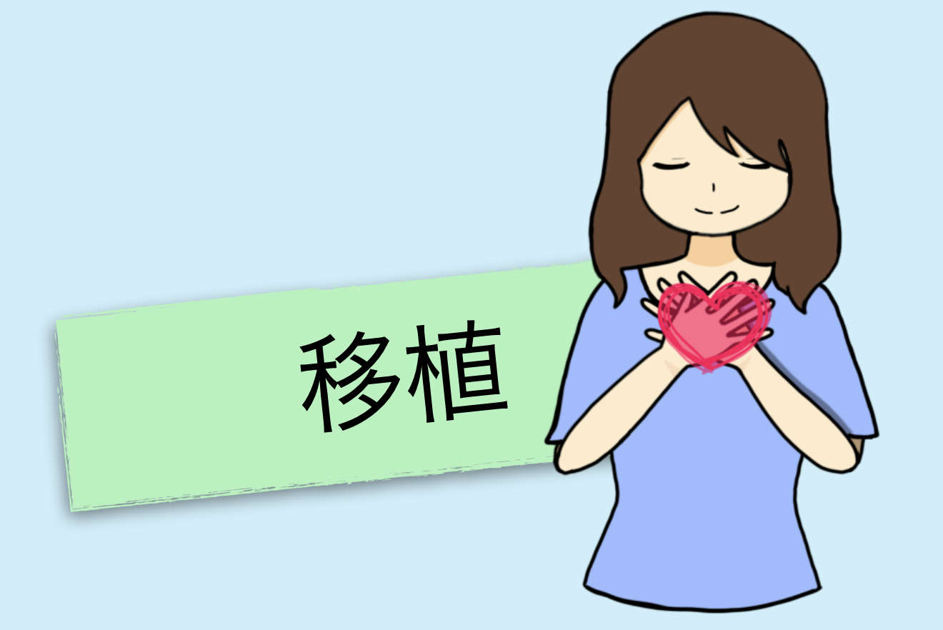 臓器提供