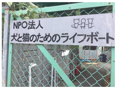 ライフボート