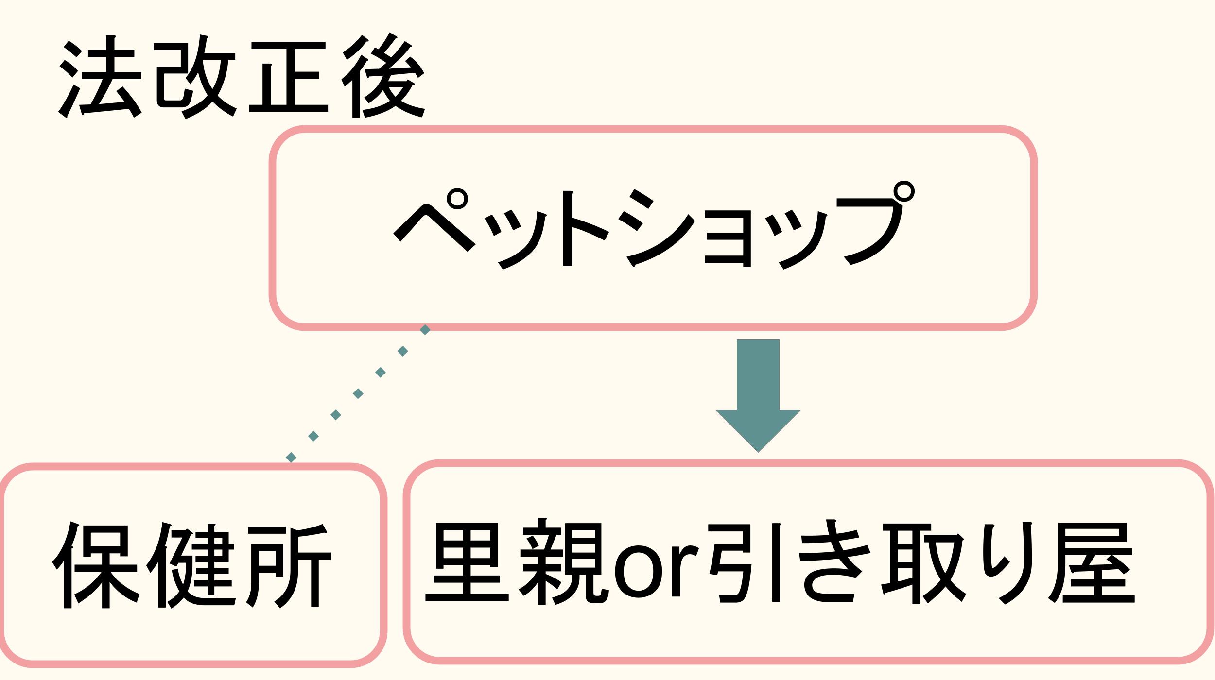 ペットショップブリーダー