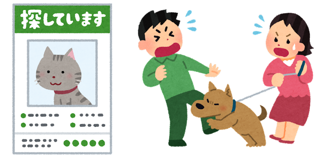 去勢・避妊手術