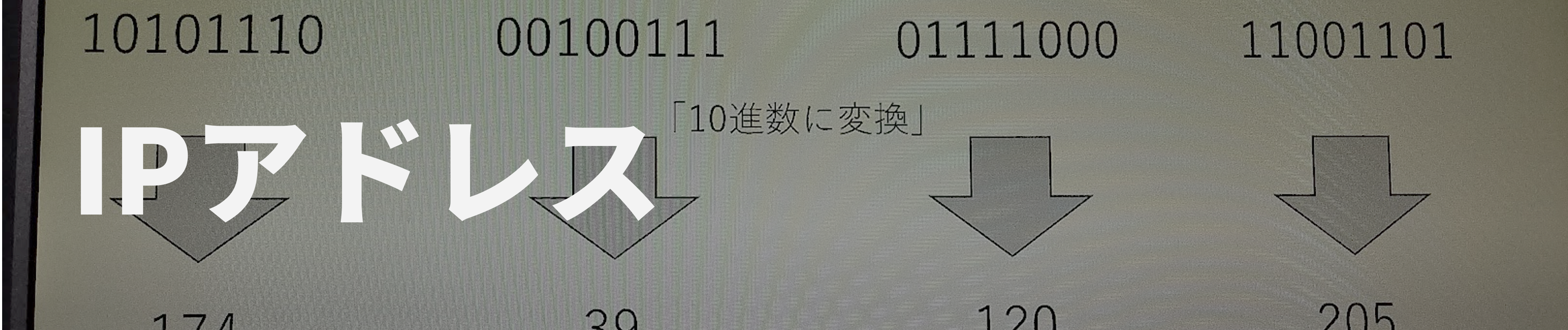 ネットワーク31top