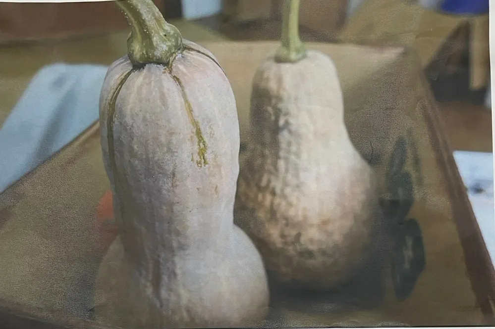 かぼちゃ