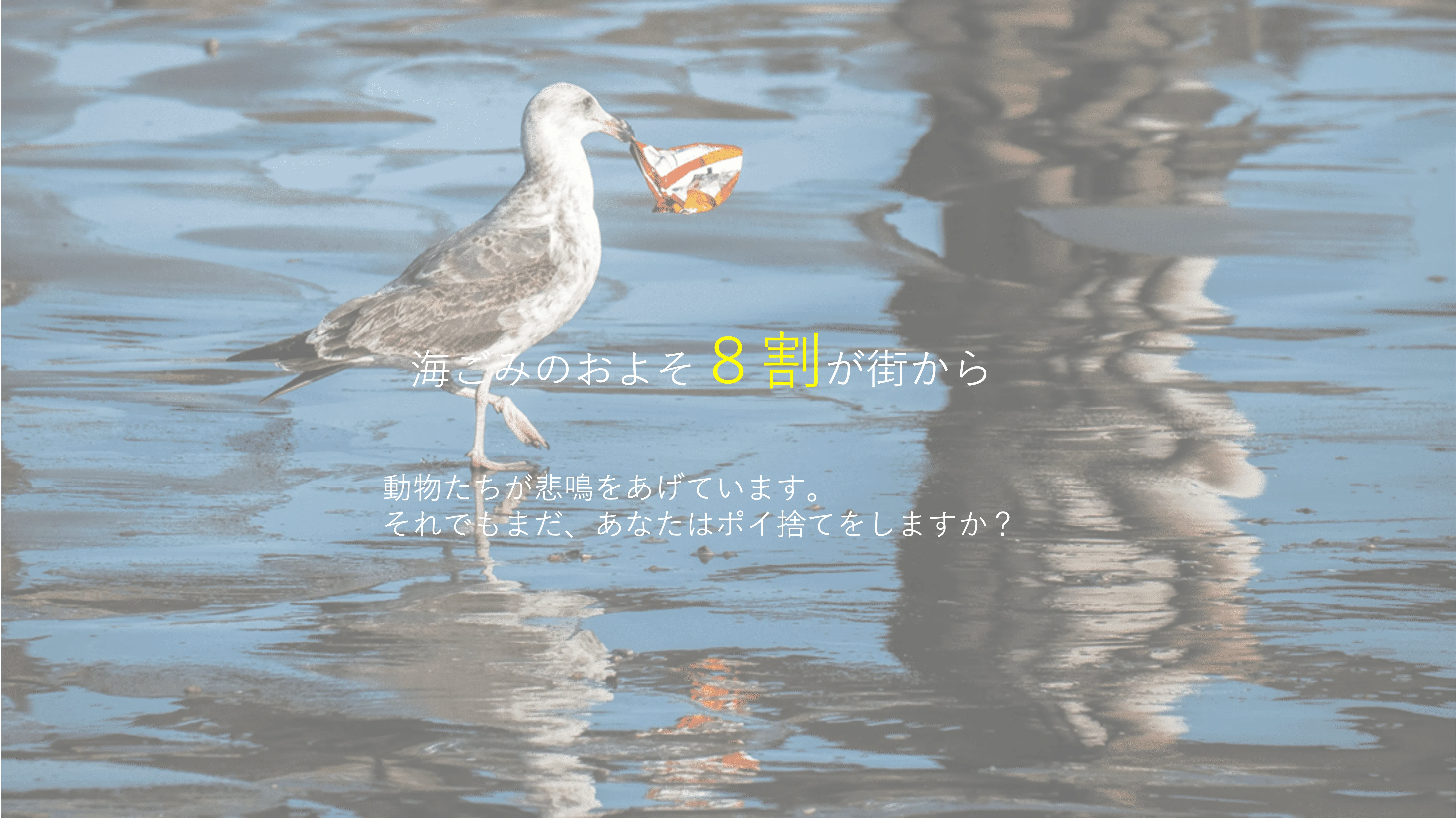 鳥