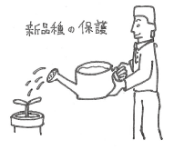 育成者のイラスト