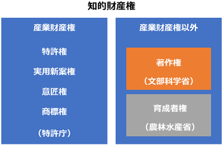 知的財産権の分け方