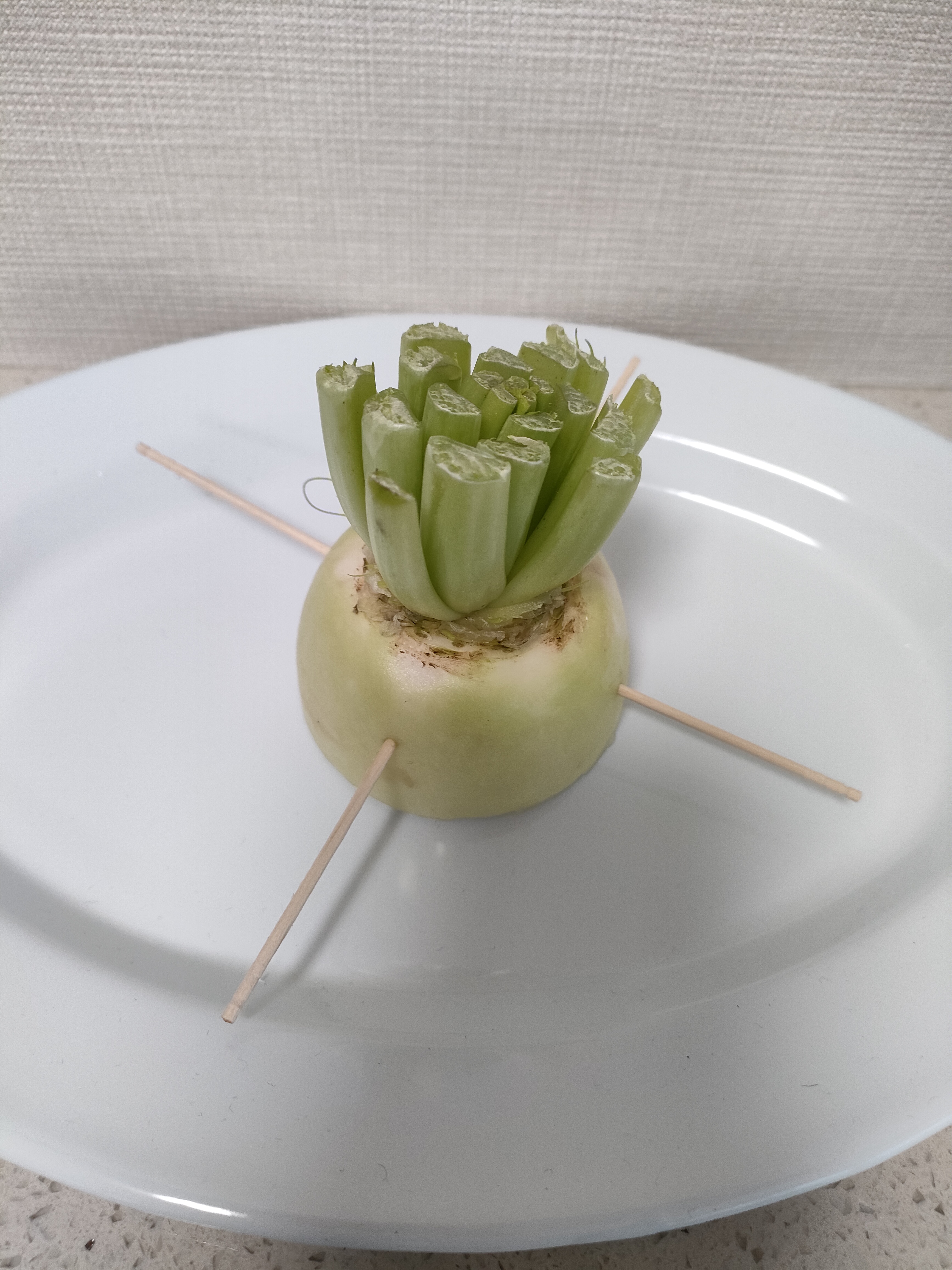 爪楊枝を刺した写真