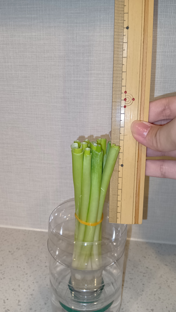 定規を当てた写真