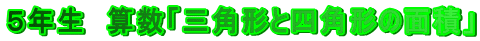 �T�N���@�Z���u�O�p�`�Ǝl�p�`�̖ʐρv
