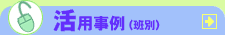 ���p����i�Ǖʁj